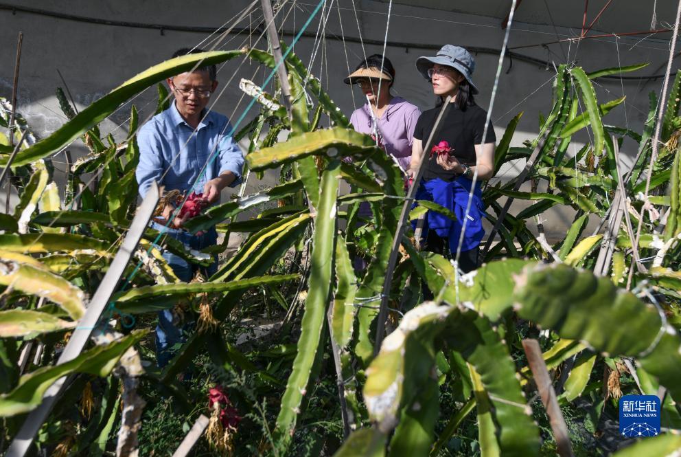 金沙游戏网址